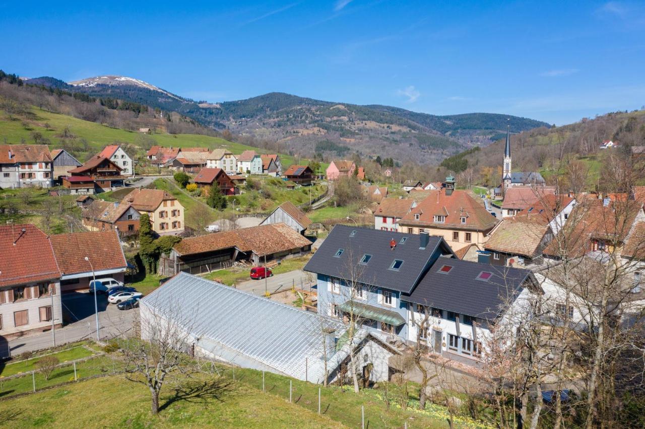 Locations Des 3 Sommets Avec Sauna Et Spa En Alsace Sondernach Esterno foto