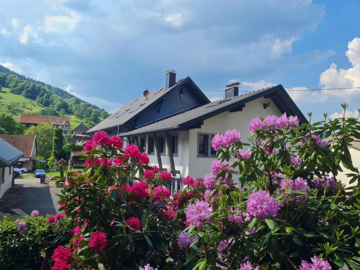 Locations Des 3 Sommets Avec Sauna Et Spa En Alsace Sondernach Esterno foto
