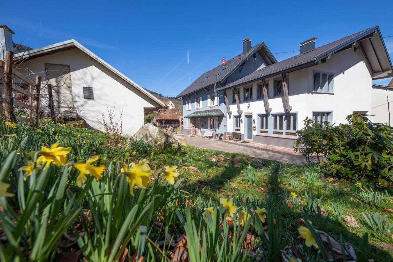 Locations Des 3 Sommets Avec Sauna Et Spa En Alsace Sondernach Esterno foto