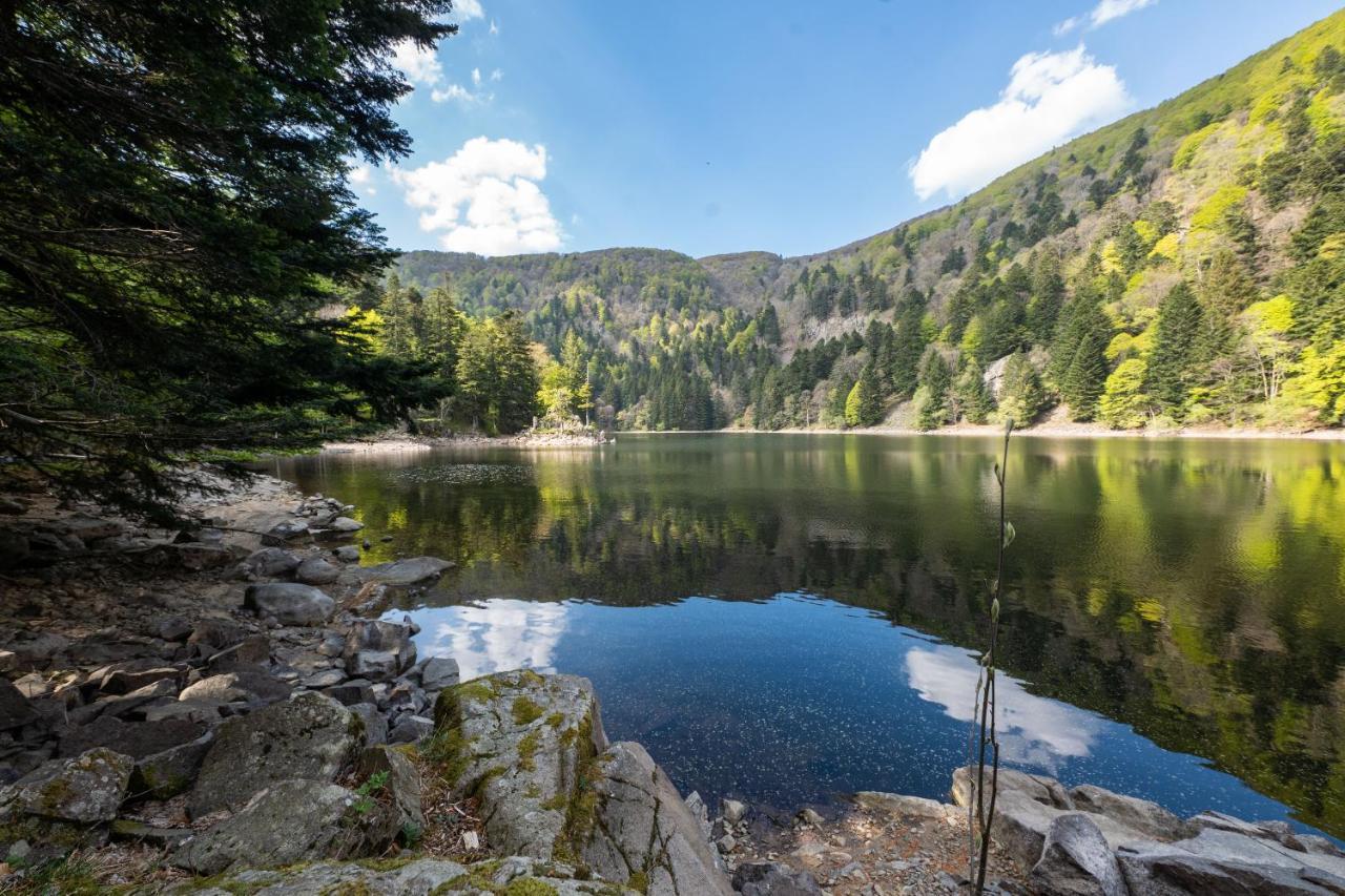 Locations Des 3 Sommets Avec Sauna Et Spa En Alsace Sondernach Esterno foto