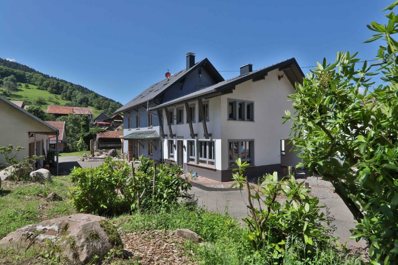 Locations Des 3 Sommets Avec Sauna Et Spa En Alsace Sondernach Esterno foto