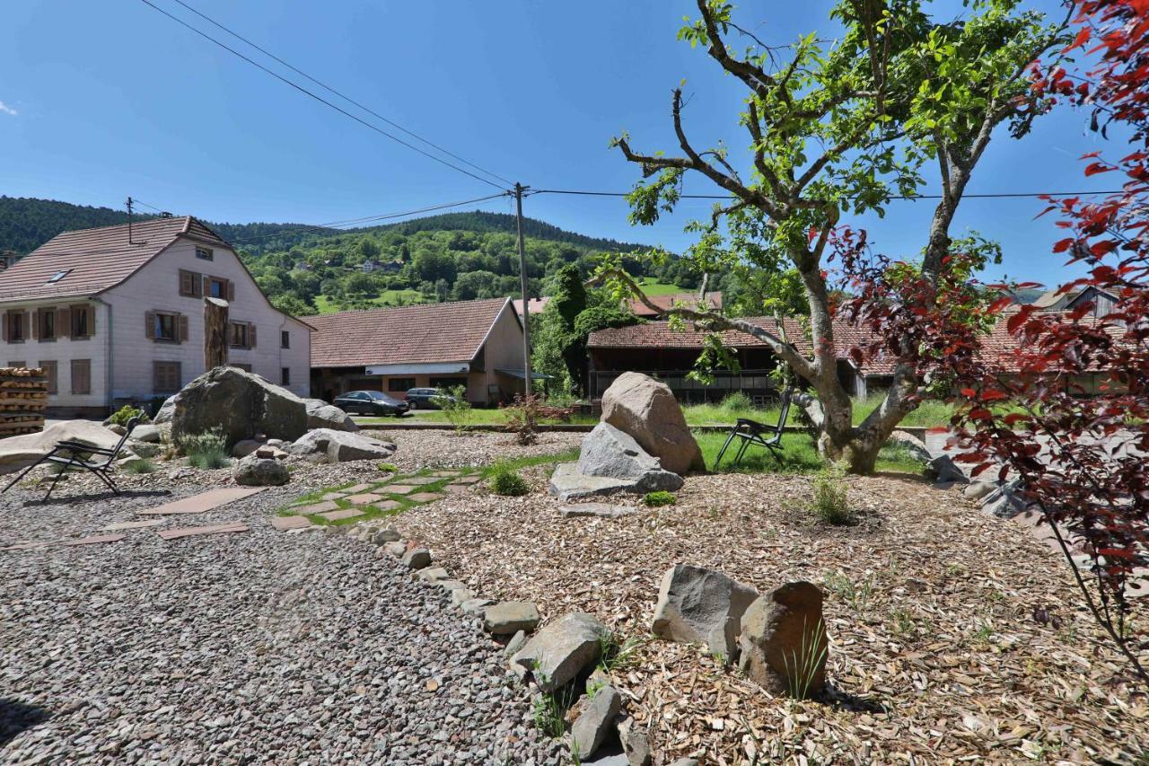 Locations Des 3 Sommets Avec Sauna Et Spa En Alsace Sondernach Esterno foto