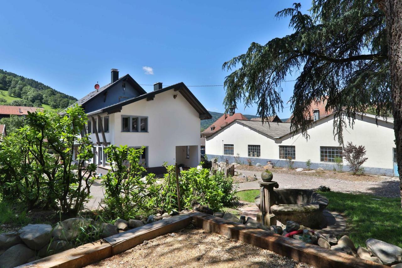 Locations Des 3 Sommets Avec Sauna Et Spa En Alsace Sondernach Esterno foto